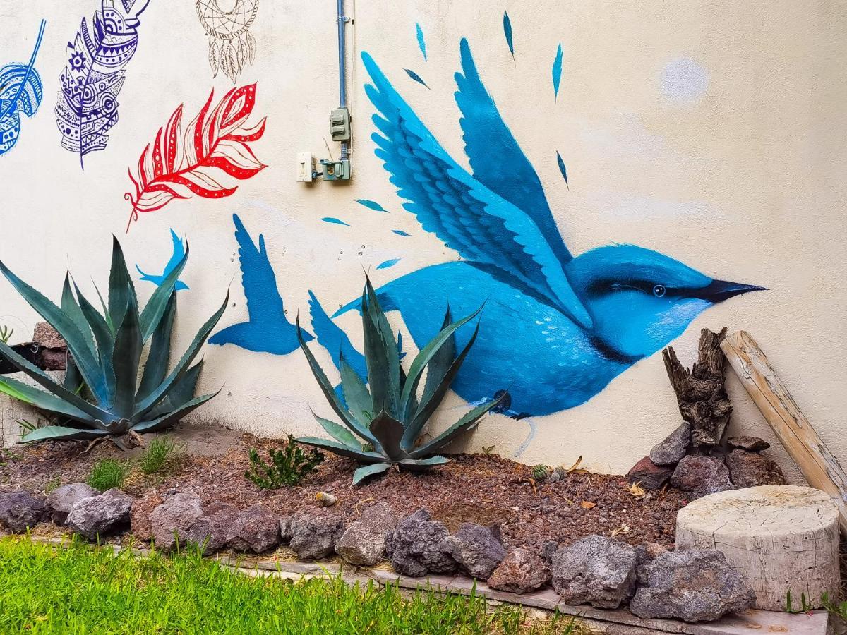 Hostal Casa Los Abuelos Cuatrociénegas de Carranza Exterior foto